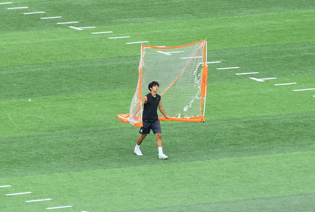 峰之役