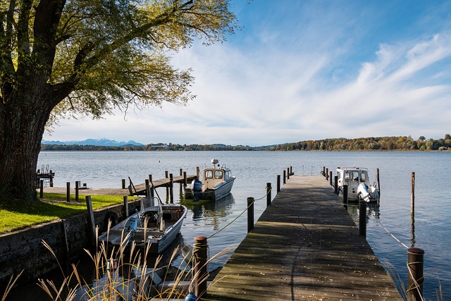 季的表现曾 季的表现曾