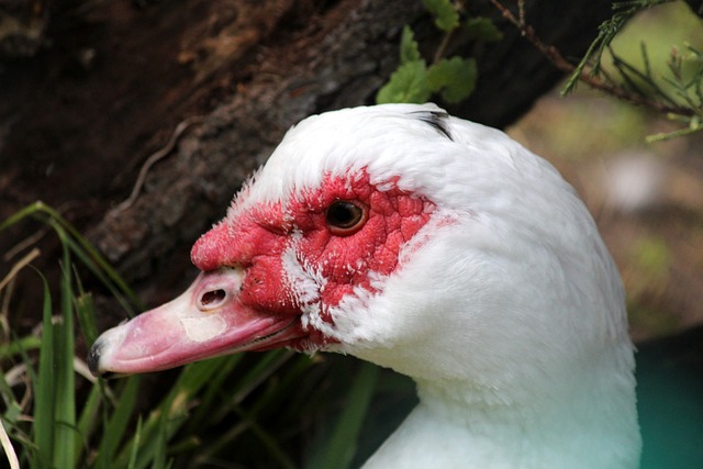 整體配合的 整體配合的