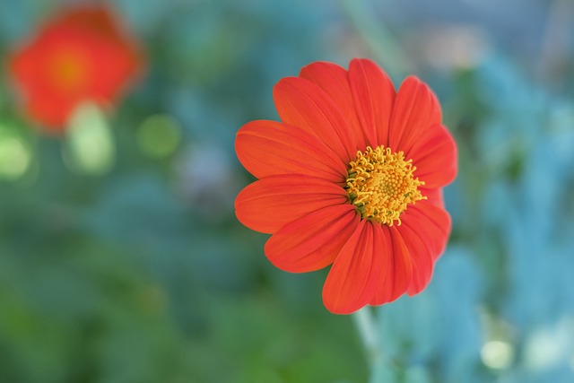 及未来愿景 及未来愿景