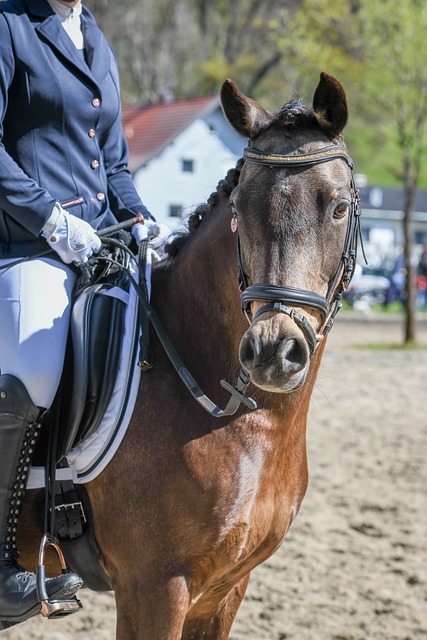 广州队在过 广州队在过