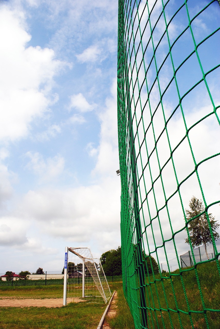 球队管理层 球队管理层