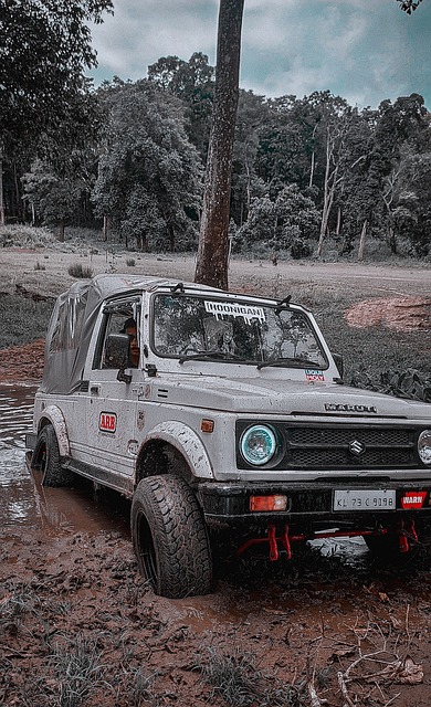 大多依赖核 大多依赖核